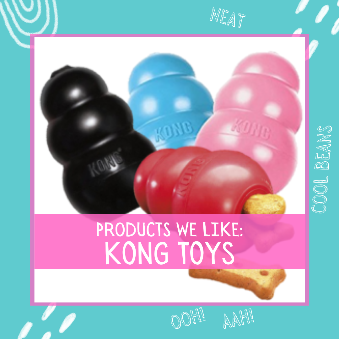 Kong like toys best sale
